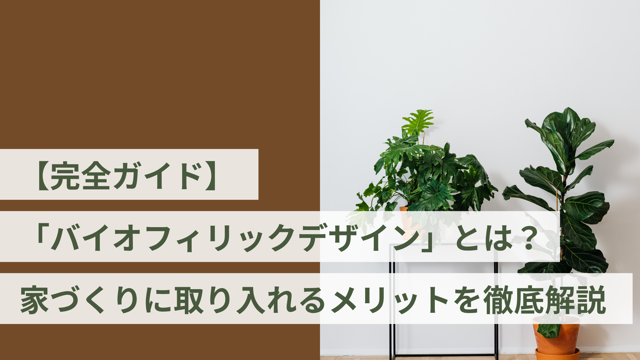 【完全ガイド】「バイオフィリックデザイン」とは？家づくりに取り入れるメリットを徹底解説