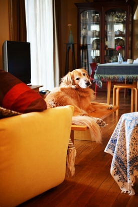 家づくり相談所　西宮店